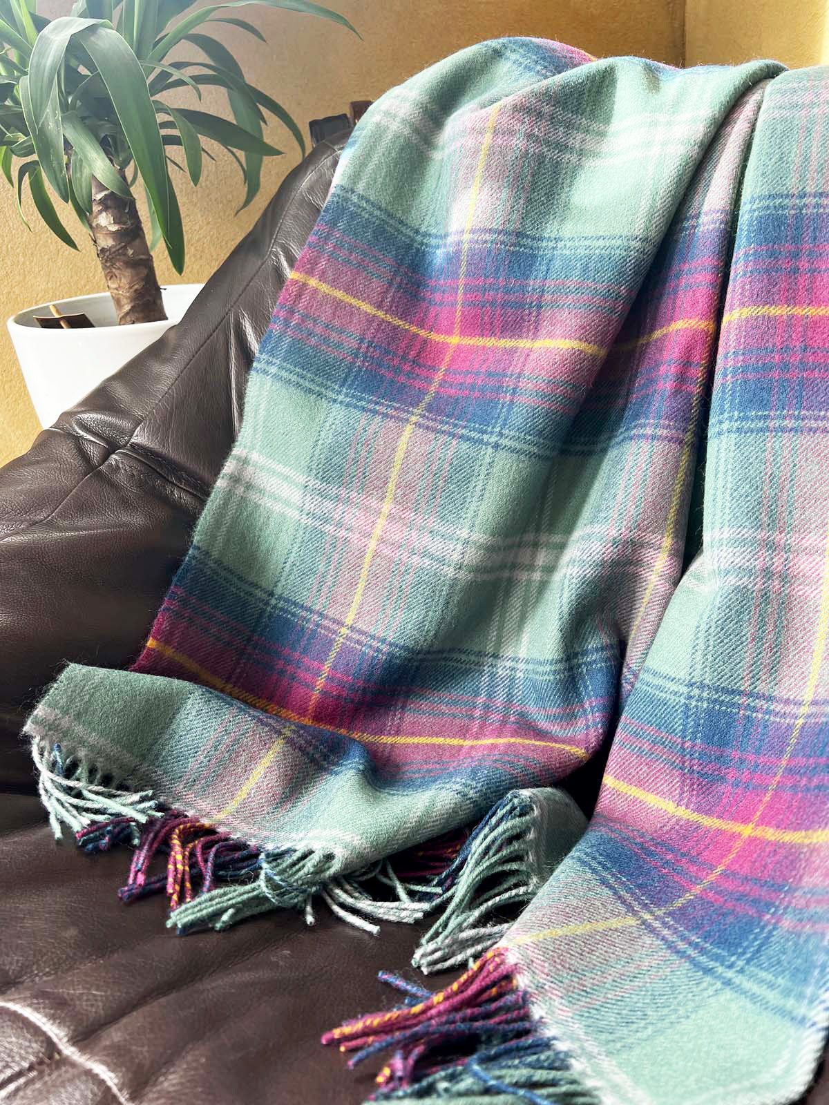 Wolldecke-Schottenkaro-Salbei