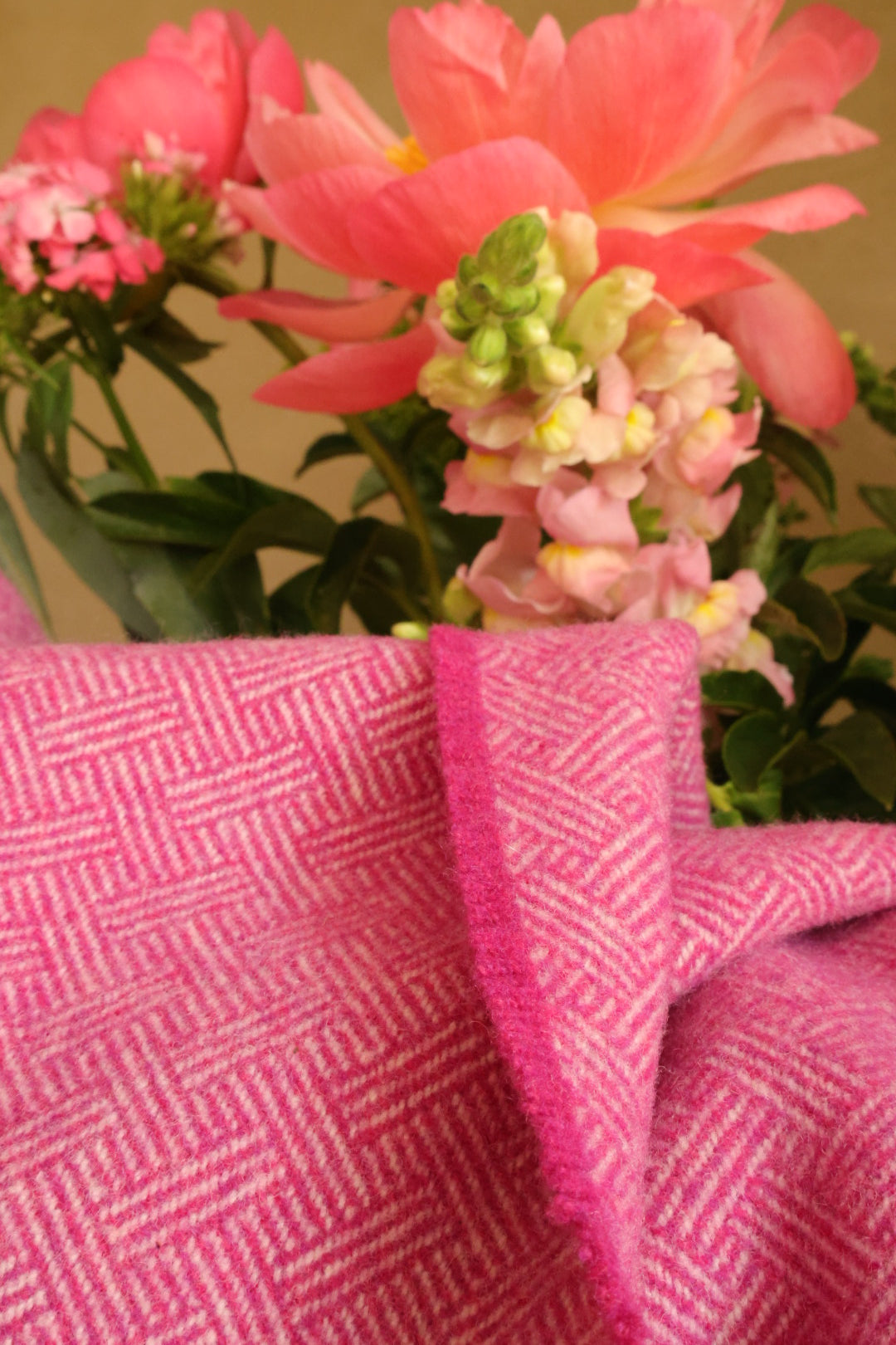Lambswool blankets line pattern pink