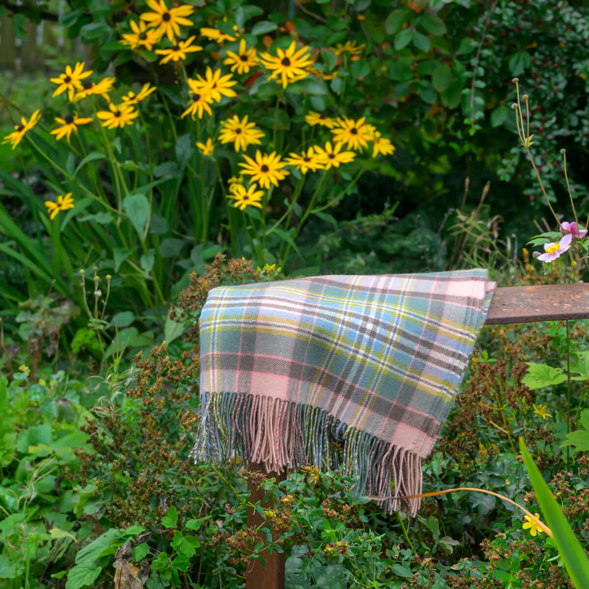 Lochcarron Wolldecke Dundee Rose Tartan – Wohnrauminszenierung
