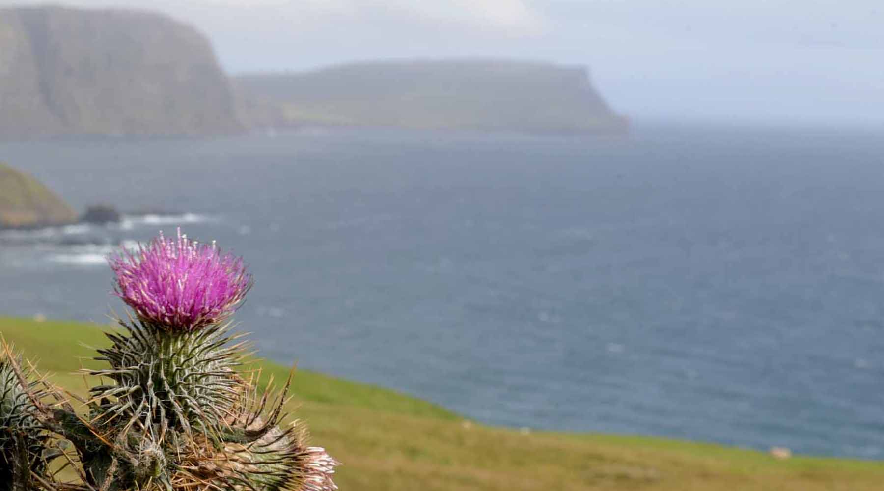 Isle of Skye: Eine Woche im Wohnmobil…
