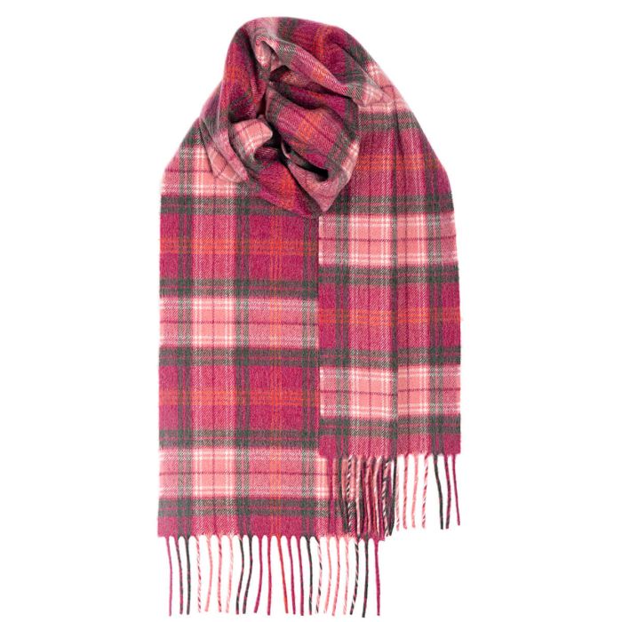 Lochcarron of Scotland Kaschmri Schal Hunting Rose Tartan