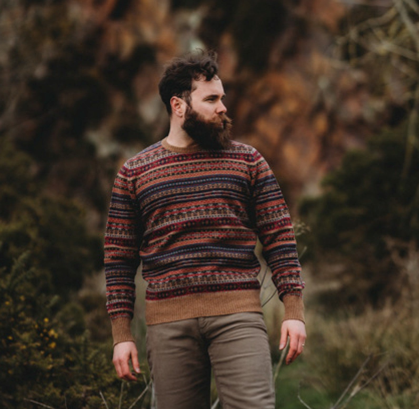 William Lockie Herren Fairisle Pullover Lammwolle Braun