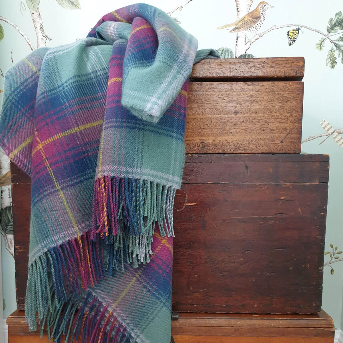 Lochcarron Wolldecke Hame Tartan – Zweite Studioaufnahme